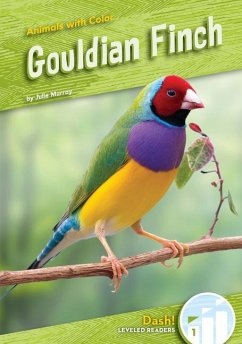 Gouldian Finch - Murray, Julie