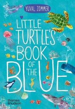 Little Turtle's Book of the Blue - Zommer, Yuval