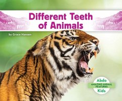 Different Teeth of Animals - Hansen, Grace