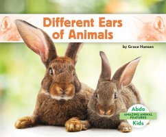 Different Ears of Animals - Hansen, Grace Different Ears of Animals - Hansen, Grace