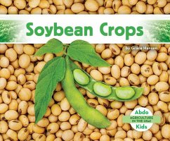 Soybean Crops - Hansen, Grace