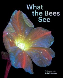 What the Bees See - Burrows, Craig P.