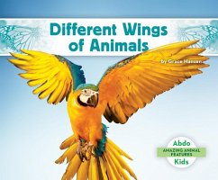 Different Wings of Animals - Hansen, Grace