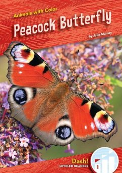 Peacock Butterfly - Murray, Julie
