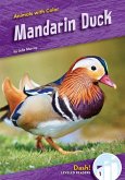 Mandarin Duck