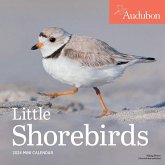 Audubon Little Shorebirds Mini Wall Calendar 2024
