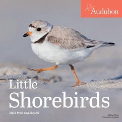 Audubon Little Shorebirds Mini Wall Calendar 2024 - Workman Calendars; National Audubon Society
