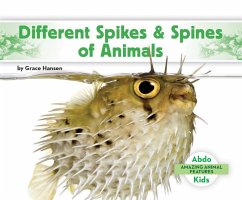 Different Spikes & Spines of Animals - Hansen, Grace