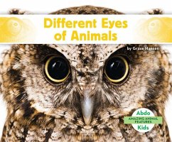 Different Eyes of Animals - Hansen, Grace