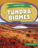 Tundra Biomes