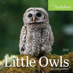 Audubon Little Owls Mini Wall Calendar 2024 - Workman Calendars; National Audubon Society