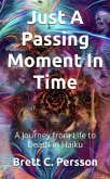Just A Passing Moment In Time (eBook, ePUB)