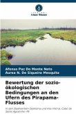 Bewertung der sozio-ökologischen Bedingungen an den Ufern des Pirapama-Flusses