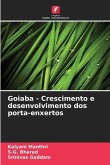 Goiaba - Crescimento e desenvolvimento dos porta-enxertos