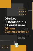 Direitos fundamentais e constituição (eBook, ePUB)