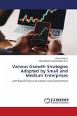 Various Growth Strategies Adopted by Small and Medium Enterprises