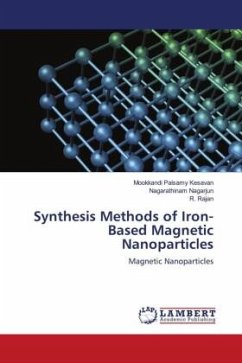 Synthesis Methods of Iron-Based Magnetic Nanoparticles - Kesavan, Mookkandi Palsamy;Nagarjun, Nagarathinam;Rajan, R.