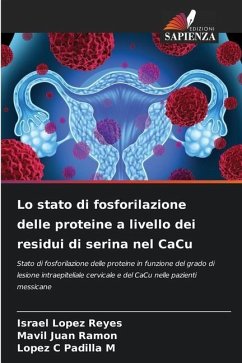 Lo stato di fosforilazione delle proteine a livello dei residui di serina nel CaCu - Lopez Reyes, Israel;Juan Ramon, Mavil;Padilla M, Lopez C