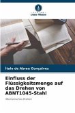 Einfluss der Flüssigkeitsmenge auf das Drehen von ABNT1045-Stahl