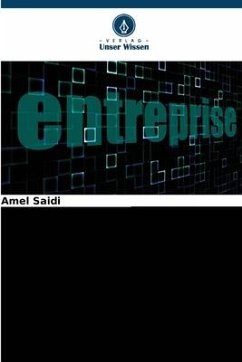 Methoden der Unternehmensbewertung: Der algerische Fall - Saidi, Amel