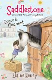 Saddlestone Connemara Pony Listening School   Conor and Coconut (eBook, ePUB)