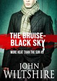 The Bruise-Black Sky (eBook, ePUB)