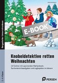 Knobeldetektive retten Weihnachten (eBook, PDF)