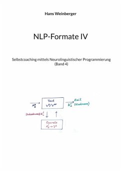 NLP-Formate IV (eBook, ePUB)