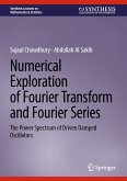 Numerical Exploration of Fourier Transform and Fourier Series (eBook, PDF)