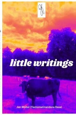 little writings - Wolter, Jan