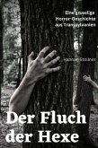 Der Fluch der Hexe (eBook, ePUB)