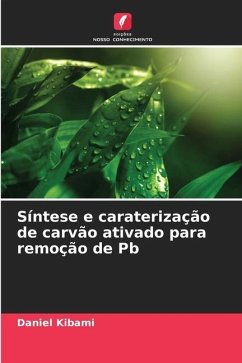 Síntese e caraterização de carvão ativado para remoção de Pb - Kibami, Daniel