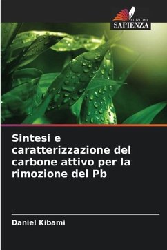 Sintesi e caratterizzazione del carbone attivo per la rimozione del Pb - Kibami, Daniel