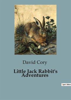 Little Jack Rabbit's Adventures - Cory, David