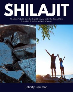 Shilajit (eBook, ePUB) - Paulman, Felicity
