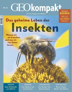 Cover GEO kompakt 62/2020 - Das geheime Leben der Insekten (eBook, PDF)