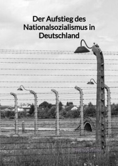 Der Aufstieg des Nationalsozialismus in Deutschland - Sturm, Christian