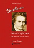 Beethoven - Melomorphosen: Früchte der Musikmeditation. Sichtbar gemachte Informationsmatrix ausgewählter Musikstücke. Gestaltwerkzeuge für Musikhörer. Ohne Verwendung von Noten/Partituren.