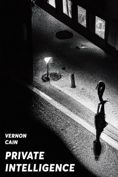 Cover Private Intelligence (eBook, ePUB)