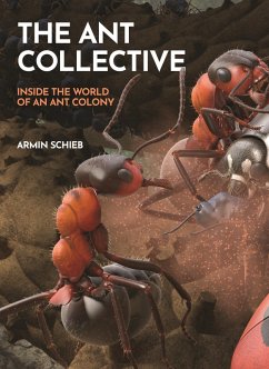 The Ant Collective (eBook, PDF) - Schieb, Armin