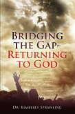 Bridging the Gap (eBook, ePUB)