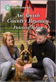 An Amish Country Reunion (eBook, ePUB)