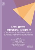 Cross-Driven Institutional Resilience (eBook, PDF)