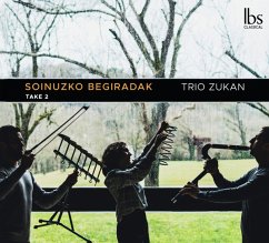 Soinuzko Begidarak - Trio Zukan