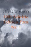 1001 Schritte - Edition Zero - Nr. 8 (eBook, ePUB)