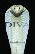 Diva (eBook, ePUB) - Bild 1