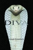 Diva (eBook, ePUB)