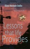LESSONS THAT LIFE PROVIDES (eBook, ePUB)