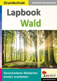 Lapbook Wald