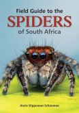 Field Guide to the Spiders of South Africa (eBook, ePUB)